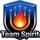 Team Spirit战队标志